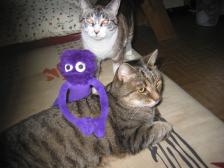 Wir... sind ganz brav!