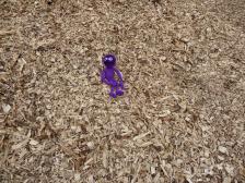 Knut mag Holzspäne!