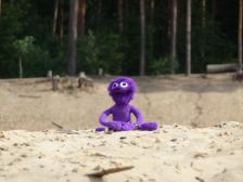 Ja Knut, bald wirst du richtige Dünen sehen...