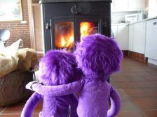 Es geht doch nichts &uuml;ber ein gem&uuml;tliches Kaminfeuer.