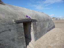 Ah, hier ist es etwas ruhiger.