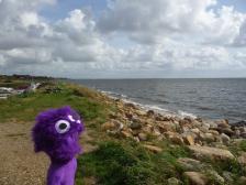 Auch am Fjord ist's ziemlich windig.