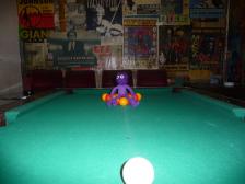 Schon gut, Knut, du darfst ja mitspielen! Aber so geht das nicht!