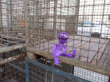 Abgemacht Knut, ich hole dich hier in zwei Stunden wieder ab, und mach keinen Unsinn!