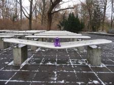 Ähm, Knut... ich fürchte wir müssen mal ernsthaft über deine Ernährung reden... 