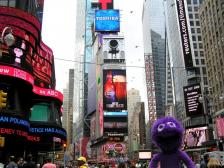 Knut lachend am Times Square!