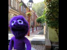 Knut in der Elfreths Street in Philadelphia!