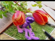 * * * für Knut * * *