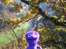 Der Ausblick!!!! Einfach traumhaft