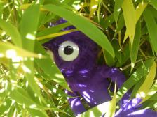 Ich bin im Jungle