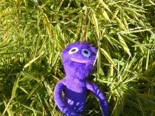 Herrlich diese letzten Sonnenstrahlen.