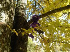 Hoffentlich falle ich nicht runter.