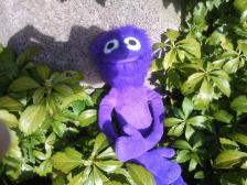 Die letzten Sonnenstrahlen geniesen