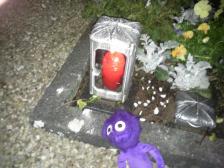 Knut nachts auf dem Friedhof