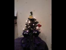 Oh Tannenbaum Oh Tannenbaum.......