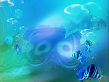 Knut beim tauchen im Aquarium