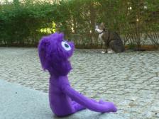 Ok, Knut, jetzt keine hastigen Bewegungen...