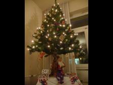 Nicht wirklich geschmackvoll, aber Knut hat Spaß.