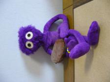 Knut mit Mini-Magnum