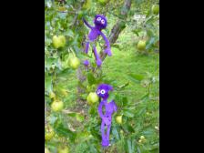 Klettern in (für Knut) luftige Höhen