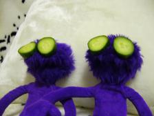 Knut, siehst du auch das, was ich sehe?