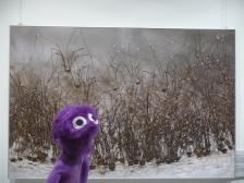 Weberknechte! Ich wünsche angenehme Träume Knut...