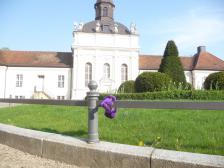 ...das Gleichgewicht verliert, ähem.