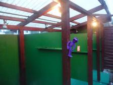 Ach komm Knut, das Wasser ist warm!