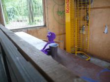 Knut beim Kaffeetrink... äh, arbeiten.