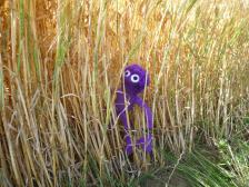 Na wer kommt denn da?