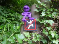 Tanzende Knuts verboten!