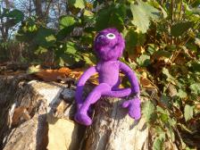 Knut hat sein Lachen wiedergefunden.