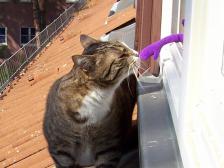 erstmal beschnuppern (lassen)...