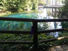 Knutine wartet auf ihren Prinzen.