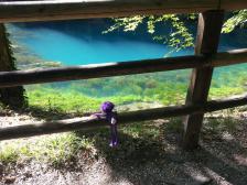 Knutine würde am liebsten gleich baden gehen..