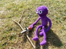 Knut ist an der Reihe