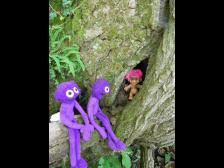 Nanu wer sitzt den da im holen Baum