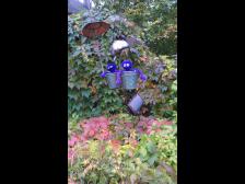 Furchtlos, auch mit Drachen