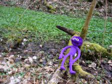 Zuerst 'mal eine kleine Pause