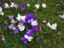 Ja Knut,  ich kann dich immer noch sehen.