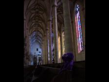 beide finden es interessant