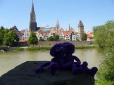 Blick vom Neu-Ulmer Donauufer