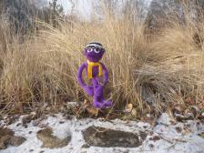 Der h&uuml;bscheste Knut weit und breit.