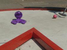 Ein entspannter Nachmittag für Knut... bis jetzt.