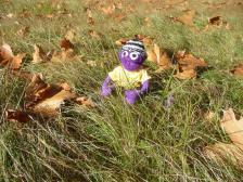 Nochmal ein wenig Herbstsonne genie&szlig;en.