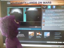 Selbst Langschläfer-Knut ist "live" dabei.