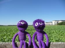 Rechts liegt Garching, nach links gehts über die Autobahn zum Garchinger See.