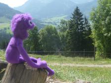 Auf der "Alm" am Schliersee. Hoch gings mit der Seilbahn, runter mit der Bobbahn.