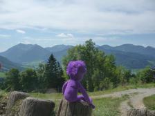 Im Hintergund die ersten halbwegs echten Berge.