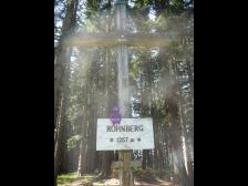 Außer Bäumen sieht man eigentlich nichts vom Gipfel aus.